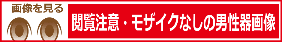 閲覧注意モザイクなしの男性器画像はこちら